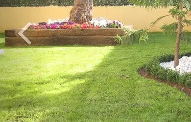 TALA Y PODA DE ÁRBOLES EN ALTURA EN LLEIDA